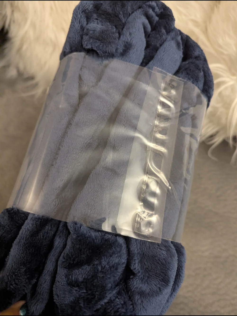 Comfort Bay Plush Blanket - Queen - Blue